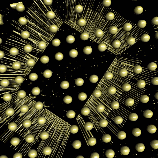 photo_2025-10-29_140224_757